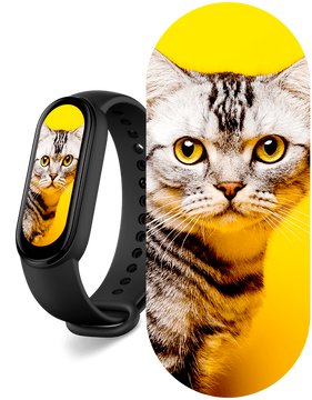 Smartwatch Xiaomi Mi Smart Band 6 (XMSH15HM)