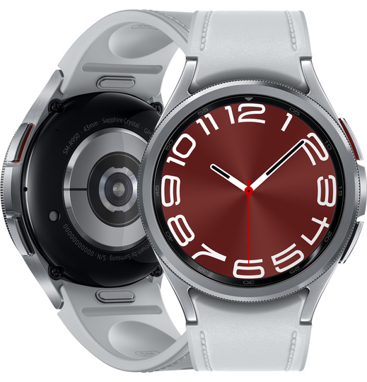 Smartwatch Samsung Galaxy Watch6 Classic 43mm BT (R950)